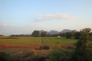 the view on the train ride